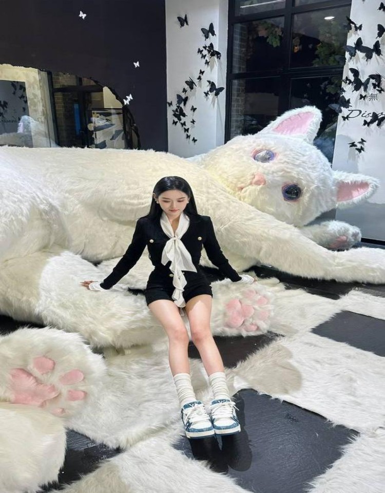 三年在线全部免费观看,手机高清在线观看